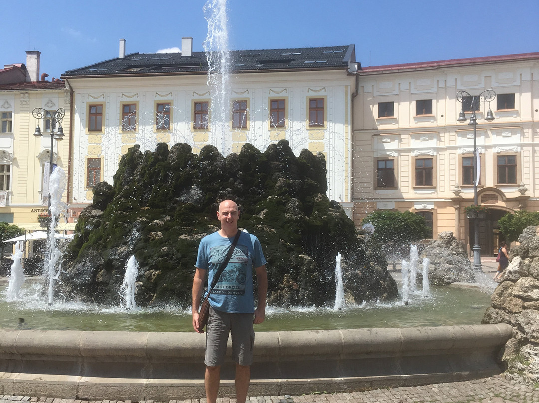 The Stone Fountain-Banska Bystrica必去景点