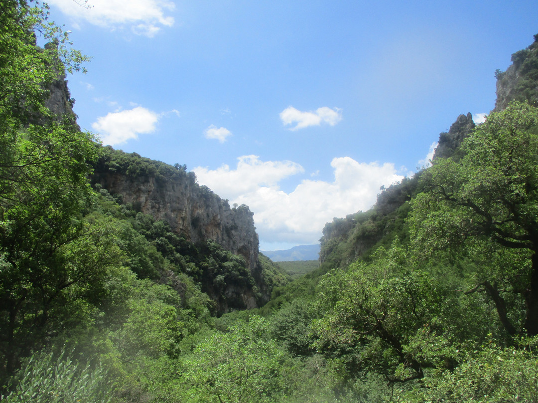 Lousios Gorge-Arkadia Region必去景点