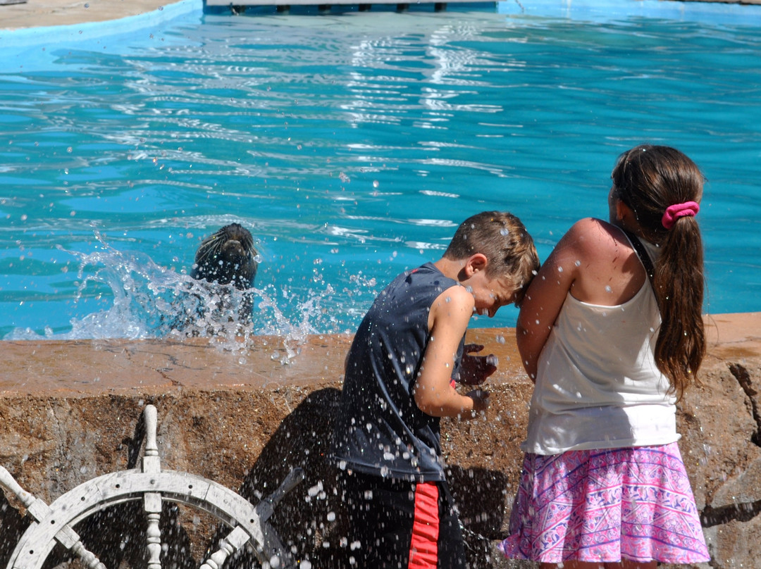 Oceans of Fun-密尔沃基必去景点