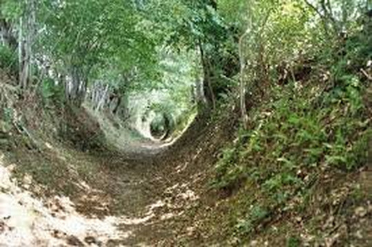 La foret magique-Taussac必去景点