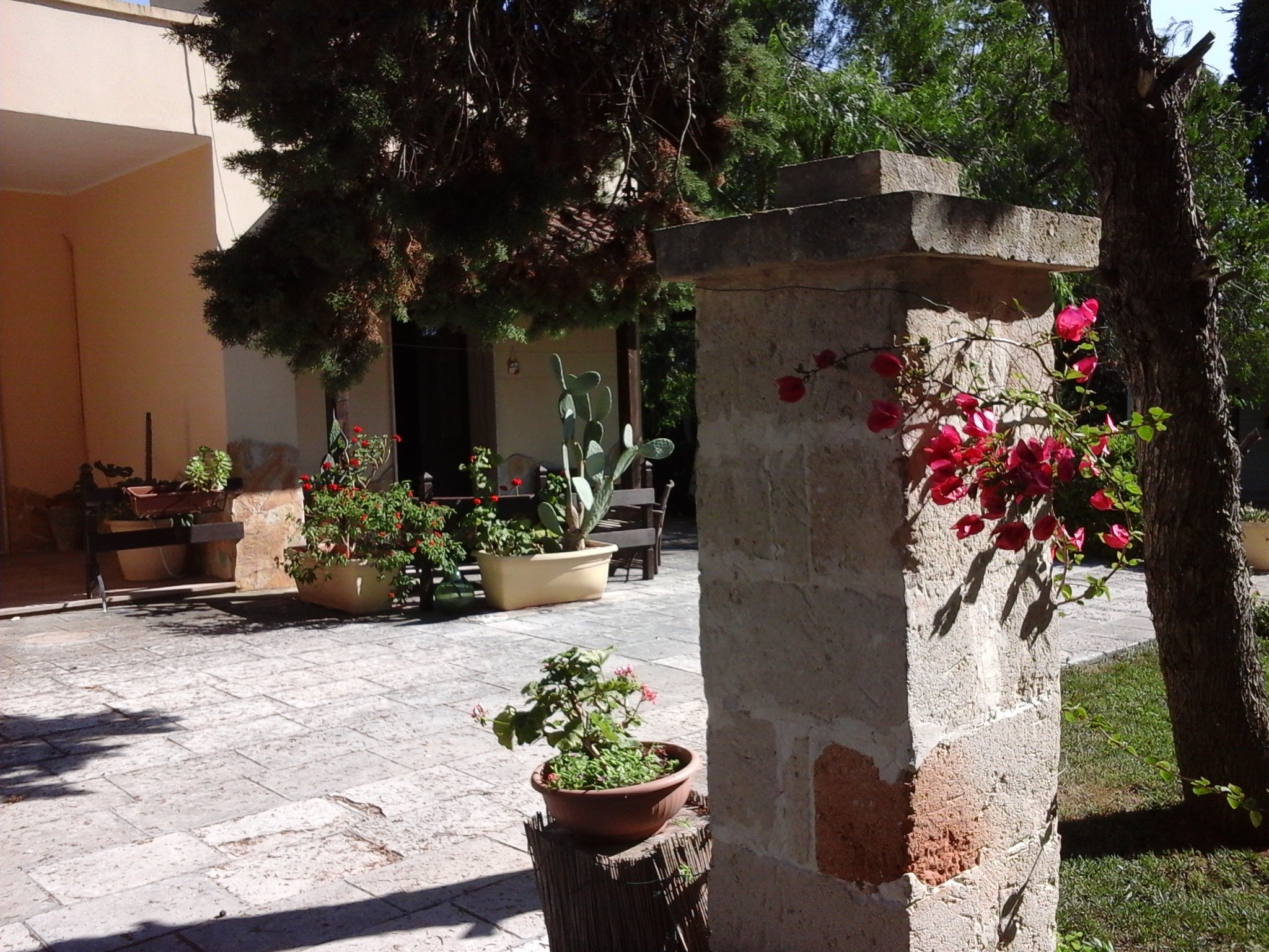 Tenuta Carrino-官方