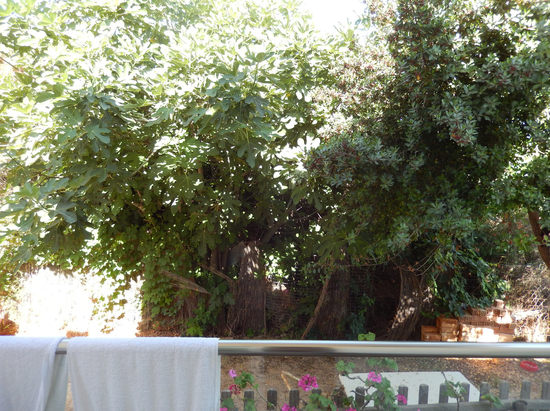 弗雷达公寓酒店主图