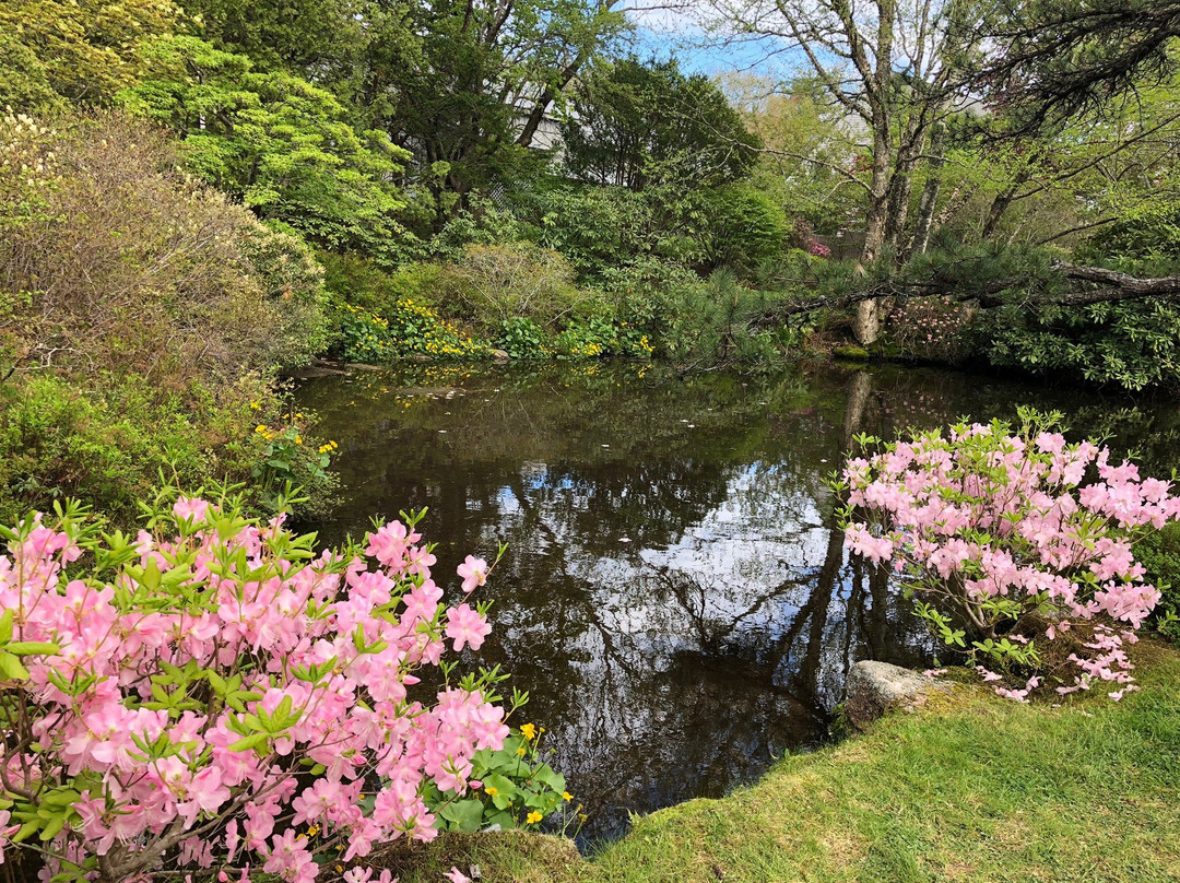 Asticou Azalea Garden景点图片