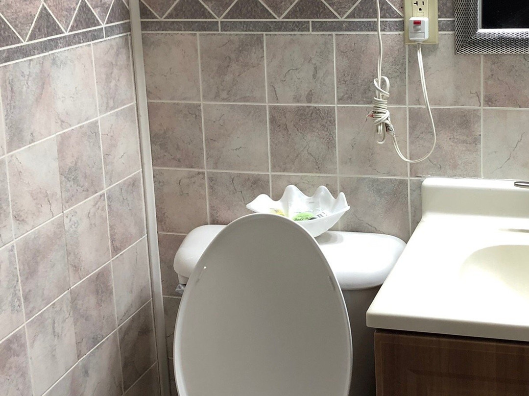 Holiday Lodge Motel主图