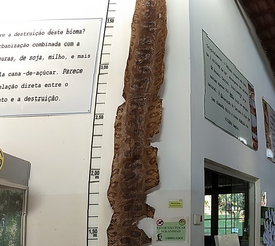 Biodiversidade do Cerrado Museum景点图片