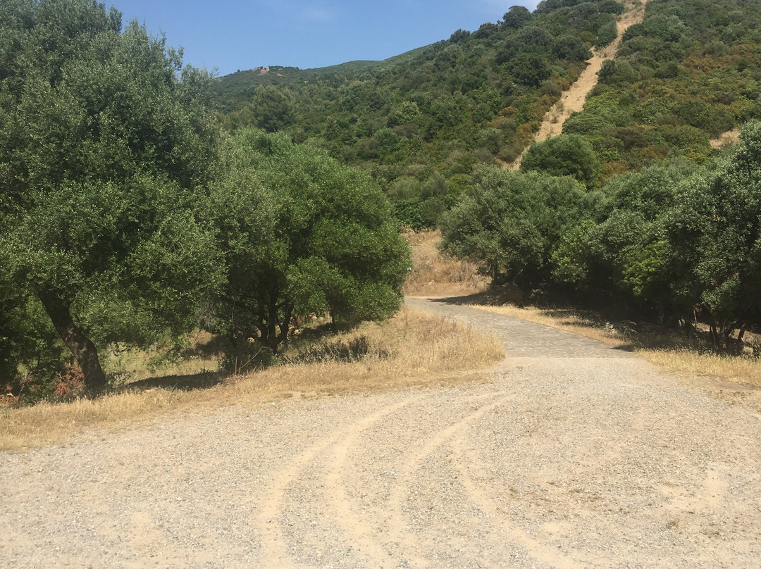 Chiesa di Sant'Elia di Tattinu-Nuxis必去景点