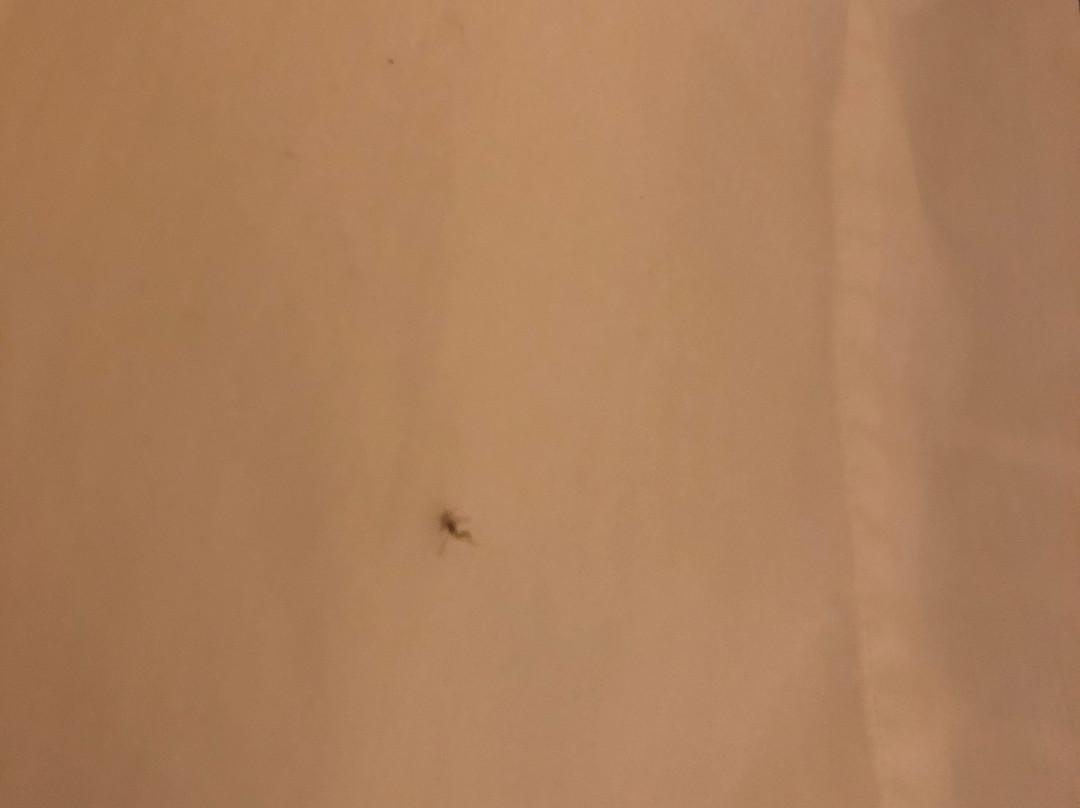 The Lodge Condos主图