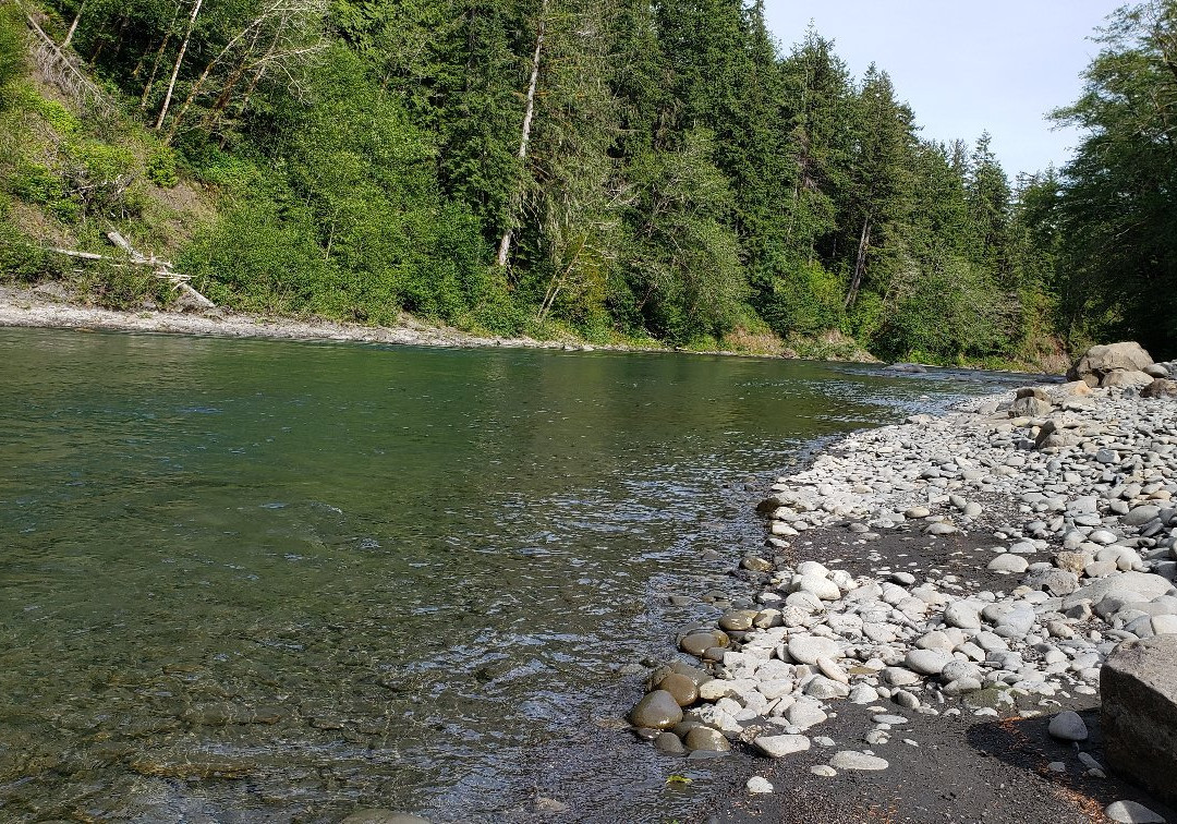 Hoh River景点图片