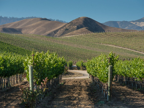 Crown Point Vineyards-圣伊内斯必去景点