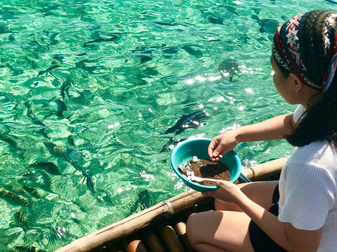 Juag Fish Sanctuary-Matnog必去景点