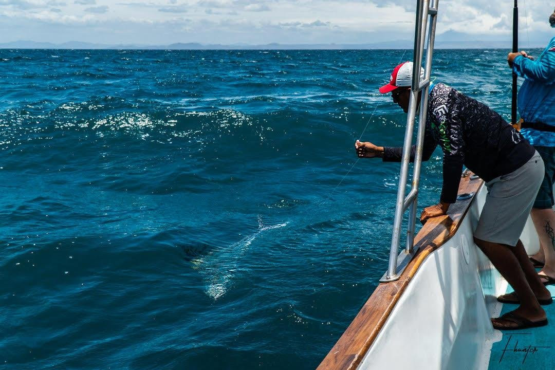 FISH HUNT COSTA RICA-圣何塞必去景点