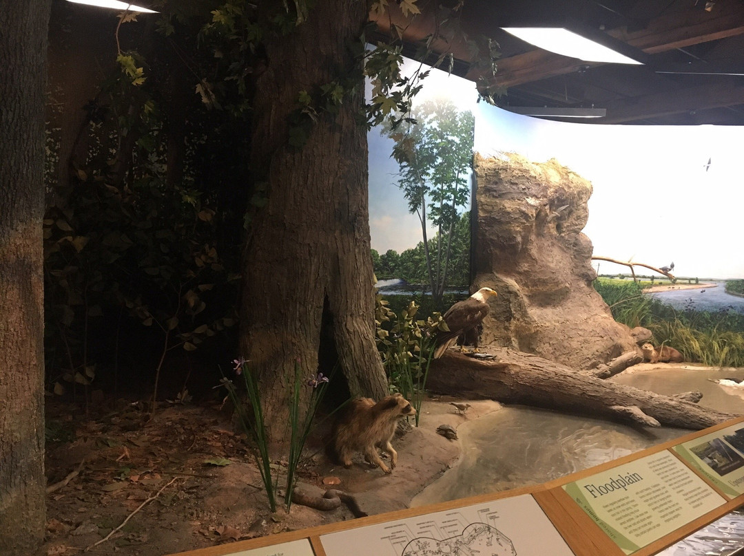 Turner Falls-Turners Falls必去景点