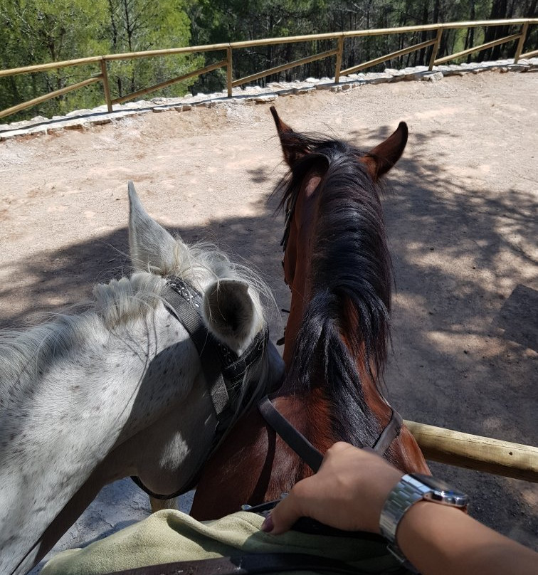 La Posada de Colomera主图