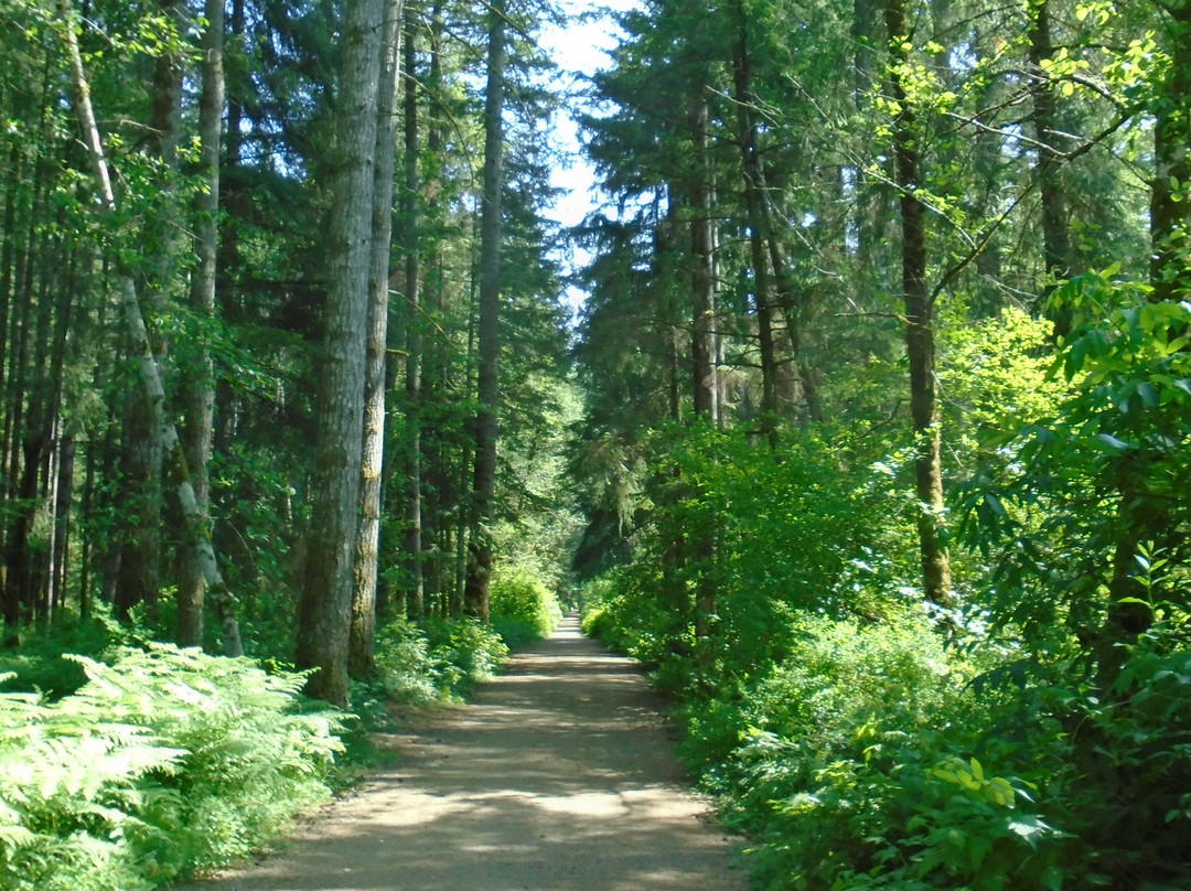 Beaver Lodge Forest Land景点图片