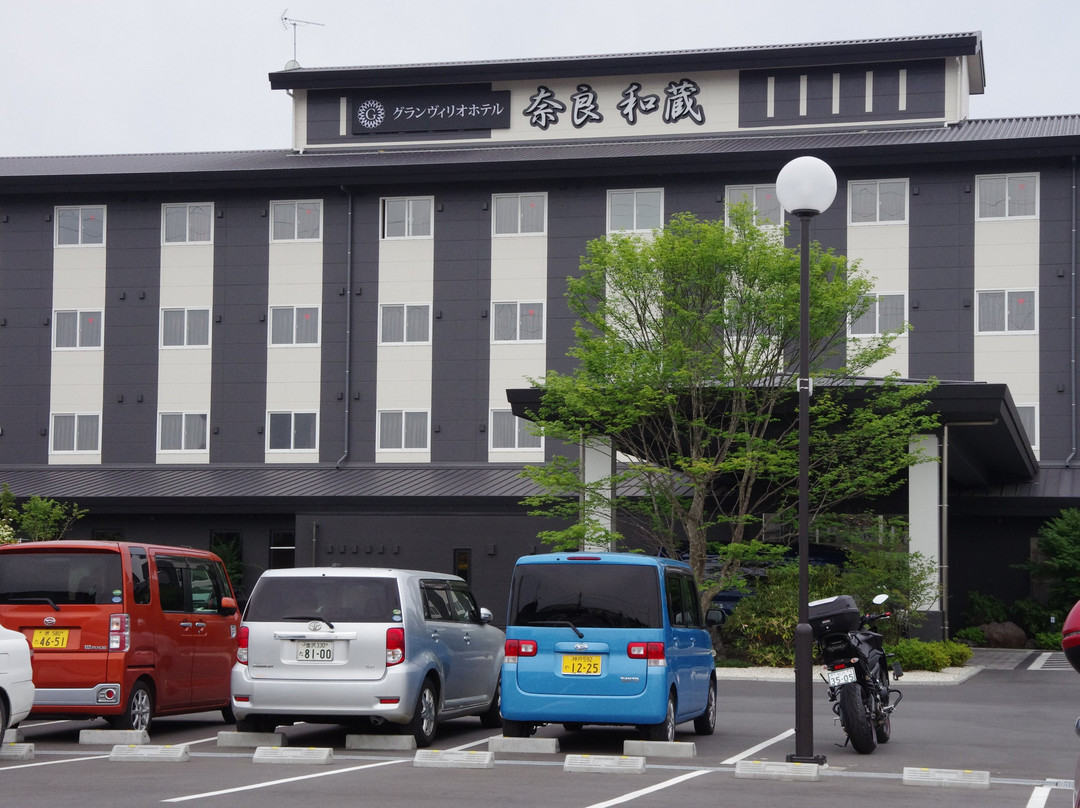 Grand Vrio Hotel Nara Wakura主图
