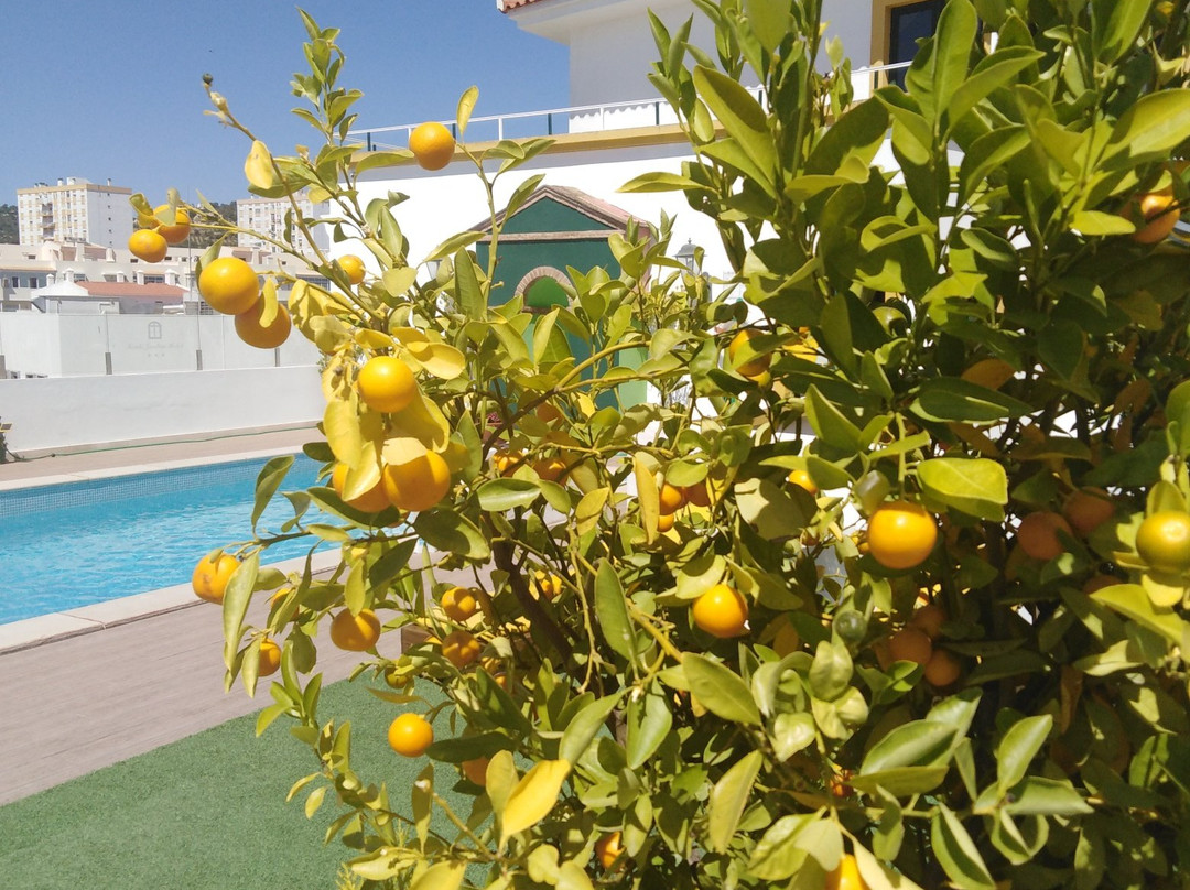 Loule Jardim Hotel主图