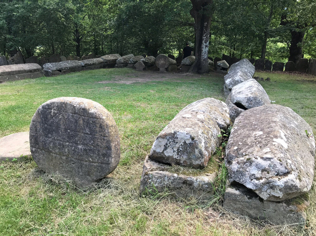 Necropolis de Argineta景点图片