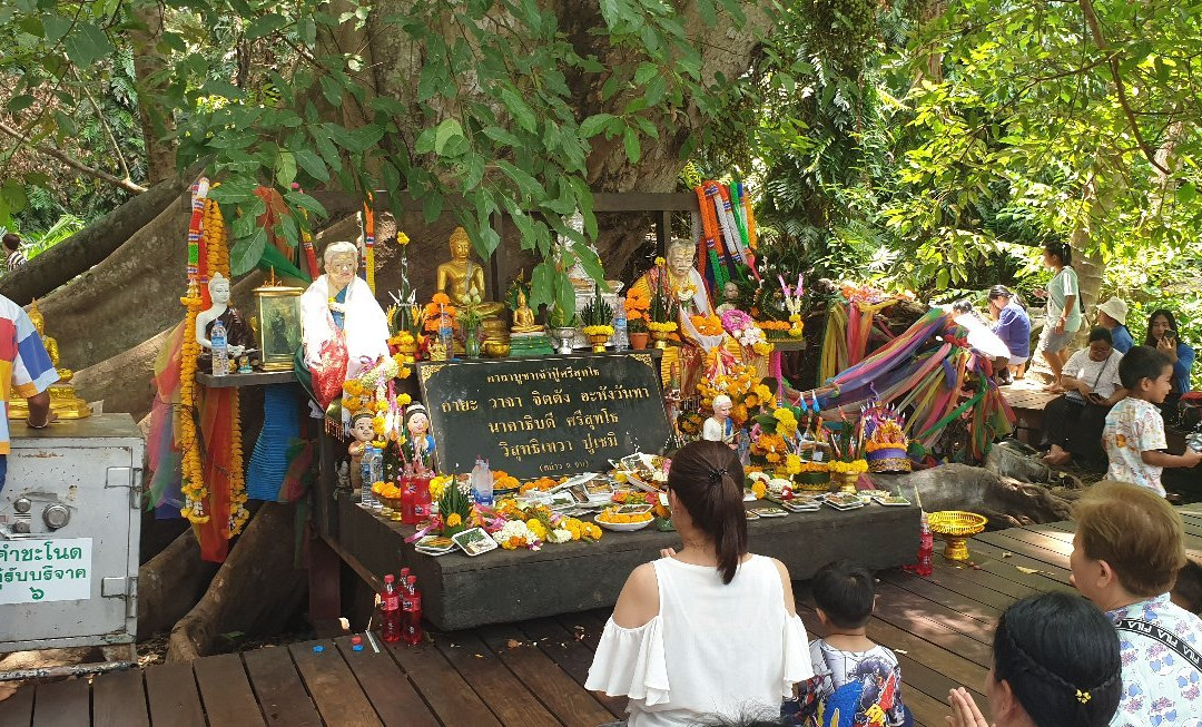 Kham Chanod Forest-万吞必去景点