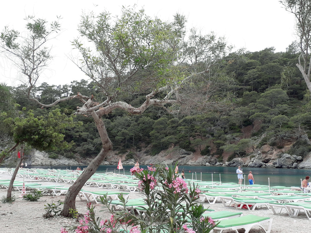 Ölüdeniz Plajı景点图片