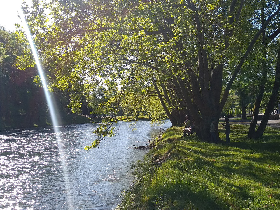 Hotel Alliance主图