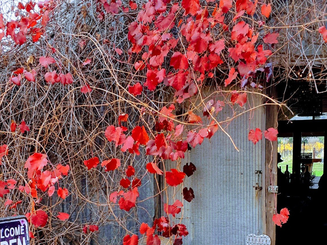 Barossa Wine Tours-Angaston必去景点