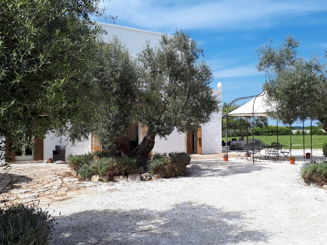 Kaliyoga Retreats-马丁纳弗兰卡必去景点