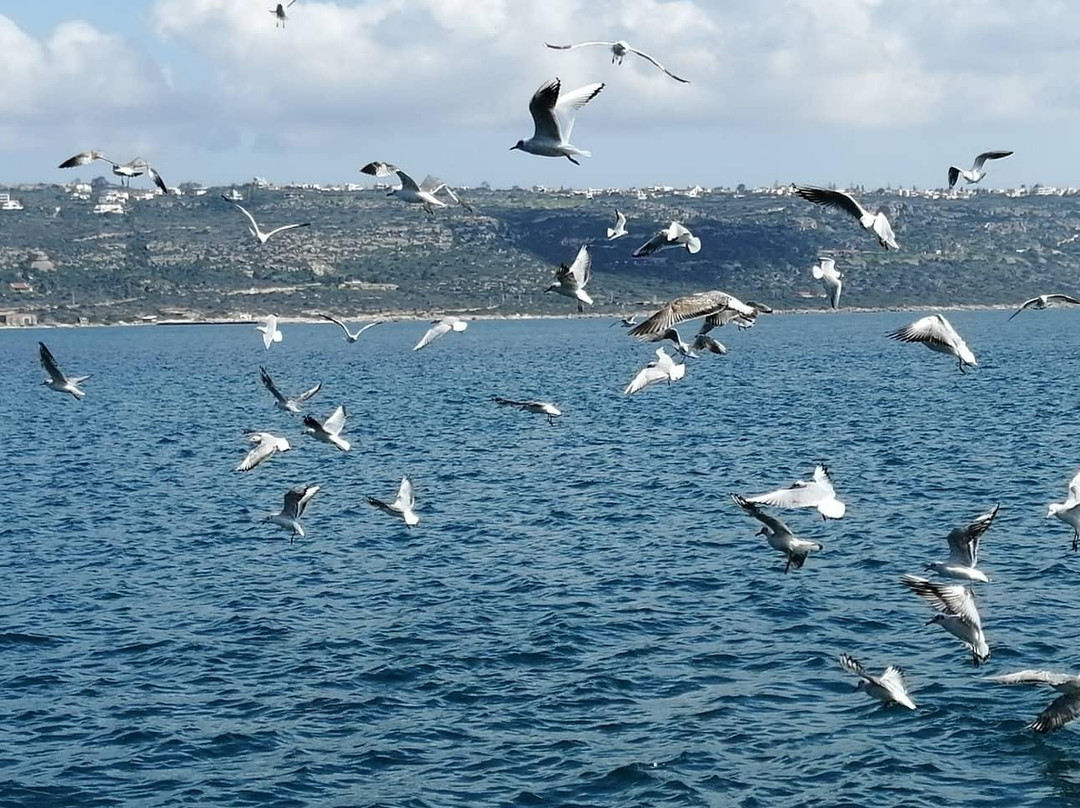 Chania: Beyond Travel-干尼亚必去景点