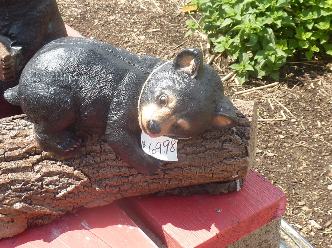 Ole Country Store-皮金福奇必去景点