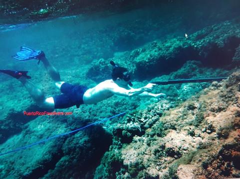 Puerto Rico Freedivers and Spearfishing Charters-圣胡安必去景点