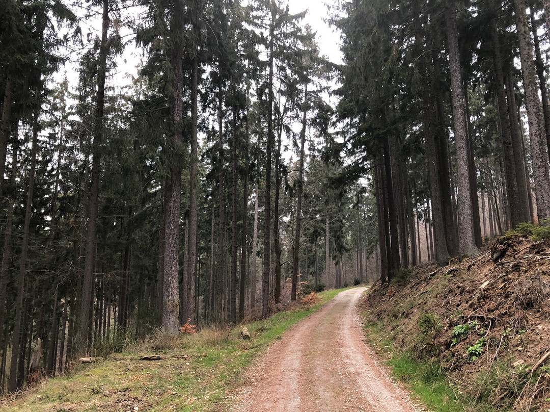Familienferienstaette Dorfweil
