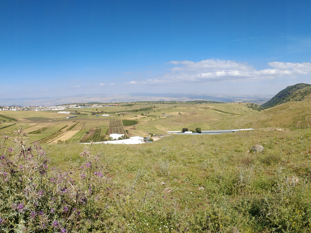 Jeepsisi-Gesher Haziv必去景点