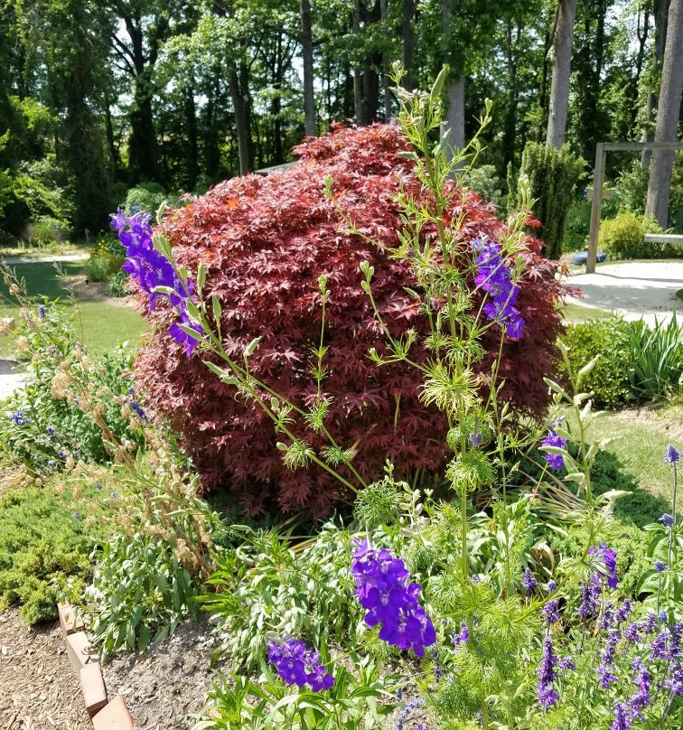 Wilson Botanical Gardens景点图片