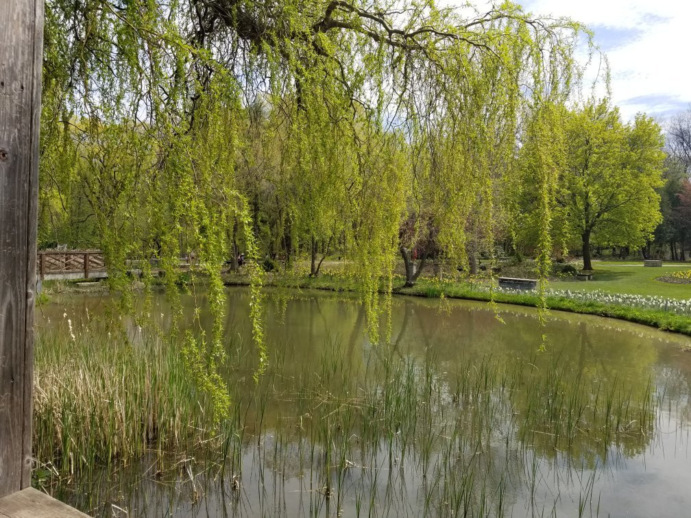 多伦多汉伯植物园-多伦多必去景点