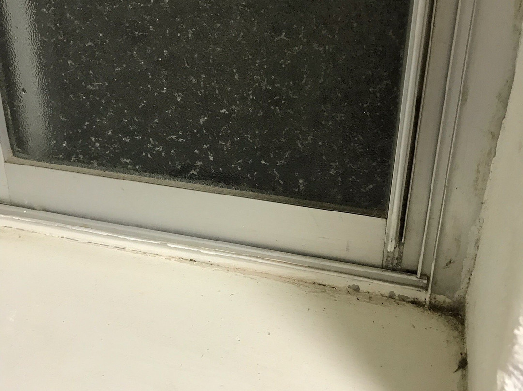 Timbertown Resort & Motel主图