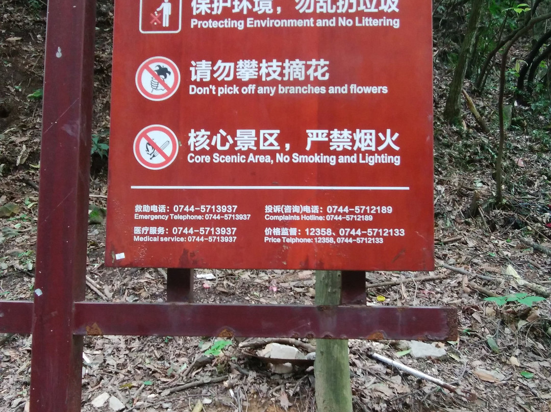 乌龙寨-张家界市必去景点