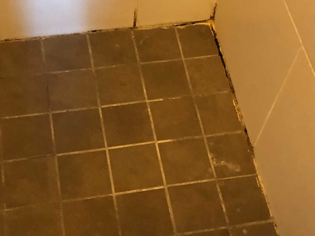 Staybridge Suites St. Petersburg Downtown by IHG主图