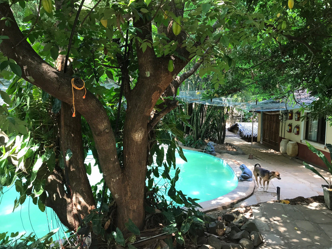 Mangaal Farmstay主图