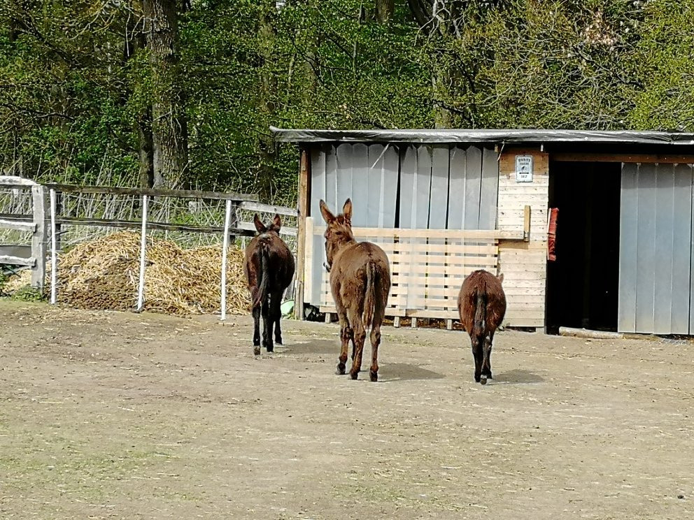 Sonja Scholling-Oldendorf必去景点
