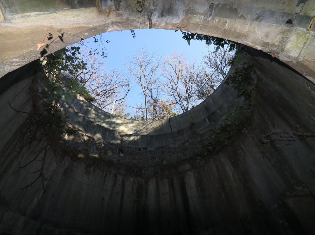 Toyo Battery Trace-对马市必去景点