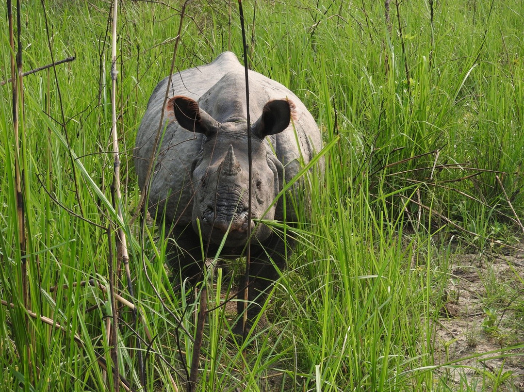 Ever Wild Trek & Tours-奇旺国家公国必去景点
