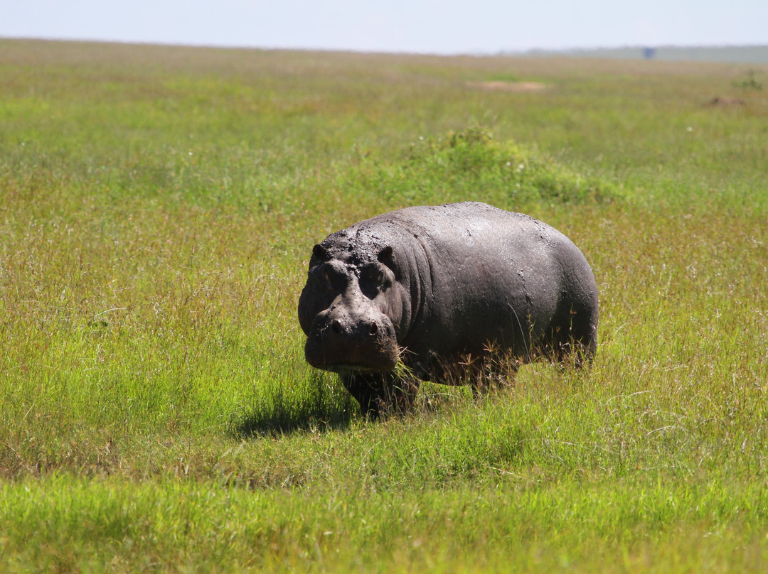Katambuga Expedition-阿鲁沙必去景点