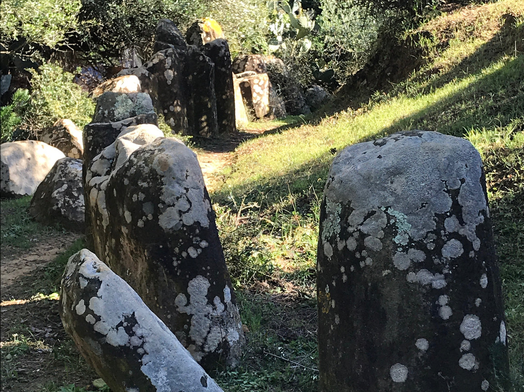 Cromlech de Mzoura-Mzoura必去景点