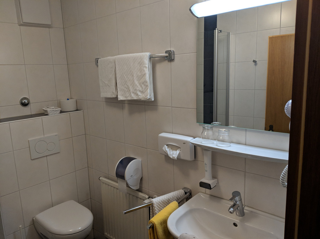 Hotel Gasthof Zur Rose主图