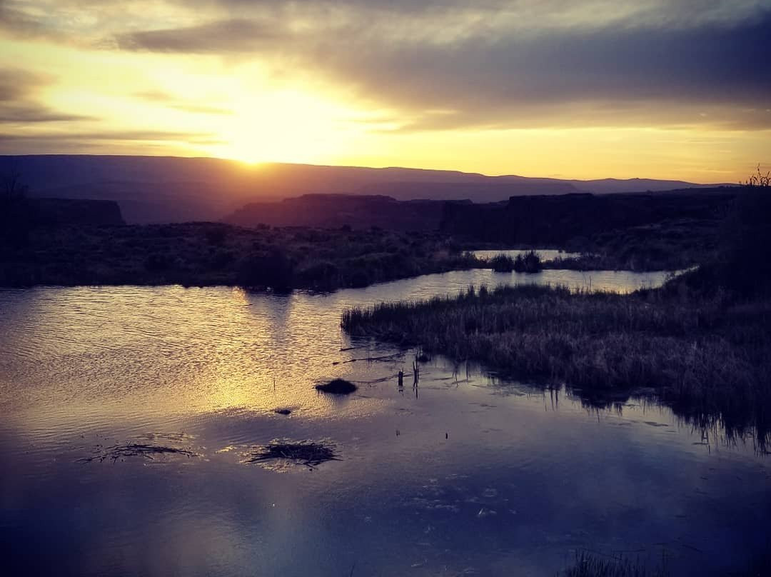 Ancient Lakes Trail-Quincy必去景点
