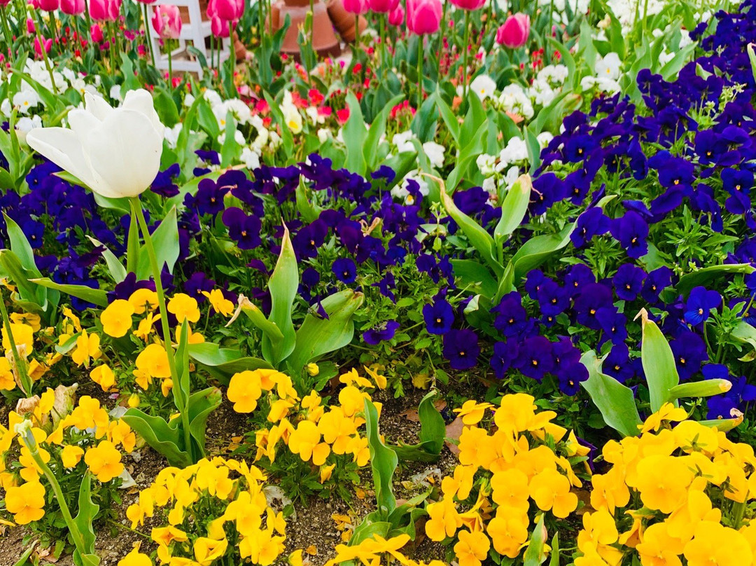 Nishimuko Park-尼崎市必去景点