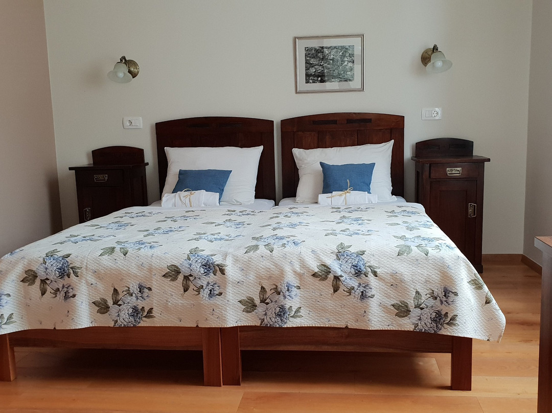 Guesthouse Bistra主图