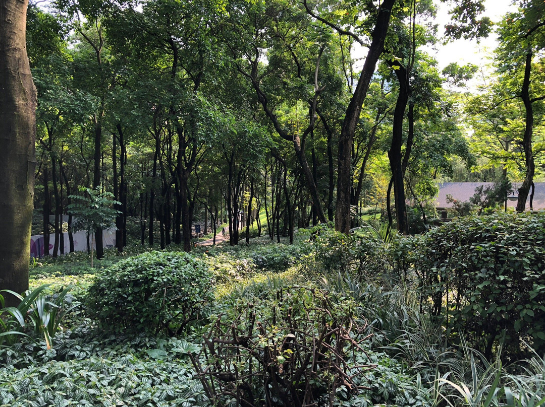 广州珠江公园景点图片