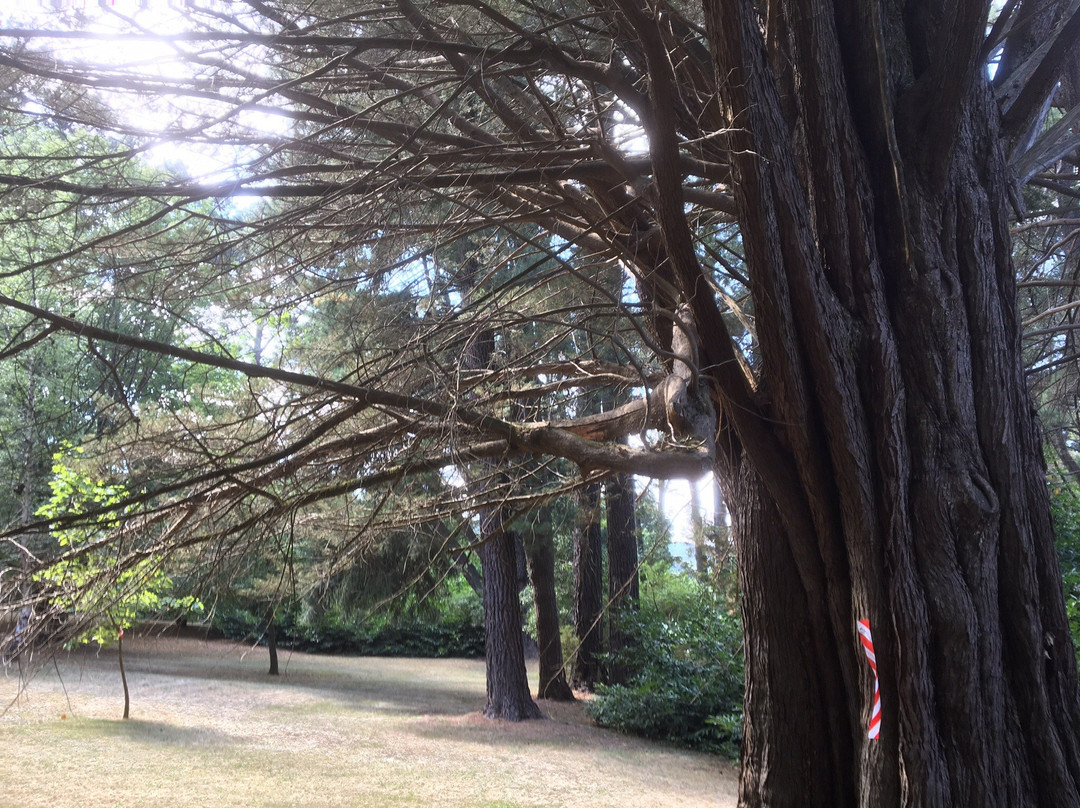 马其顿山旅游景点-Cooinda Gardens