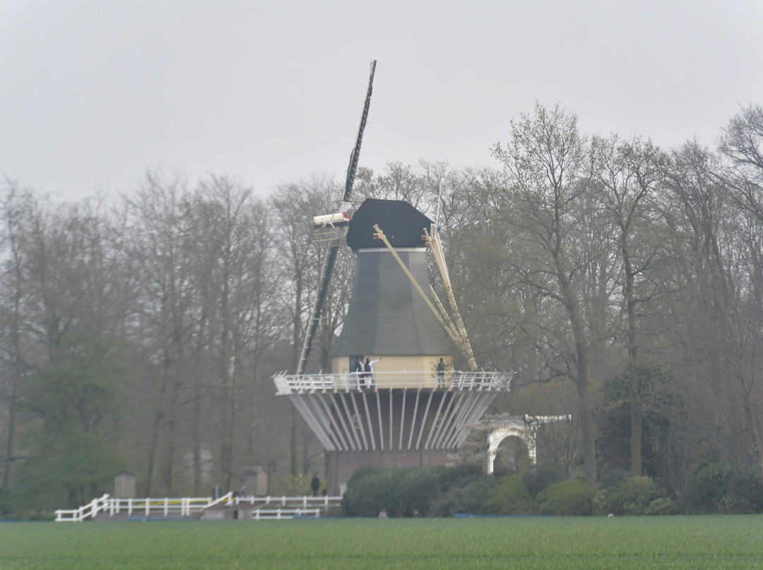 Poldermolen van de Zemelpolder-利塞必去景点