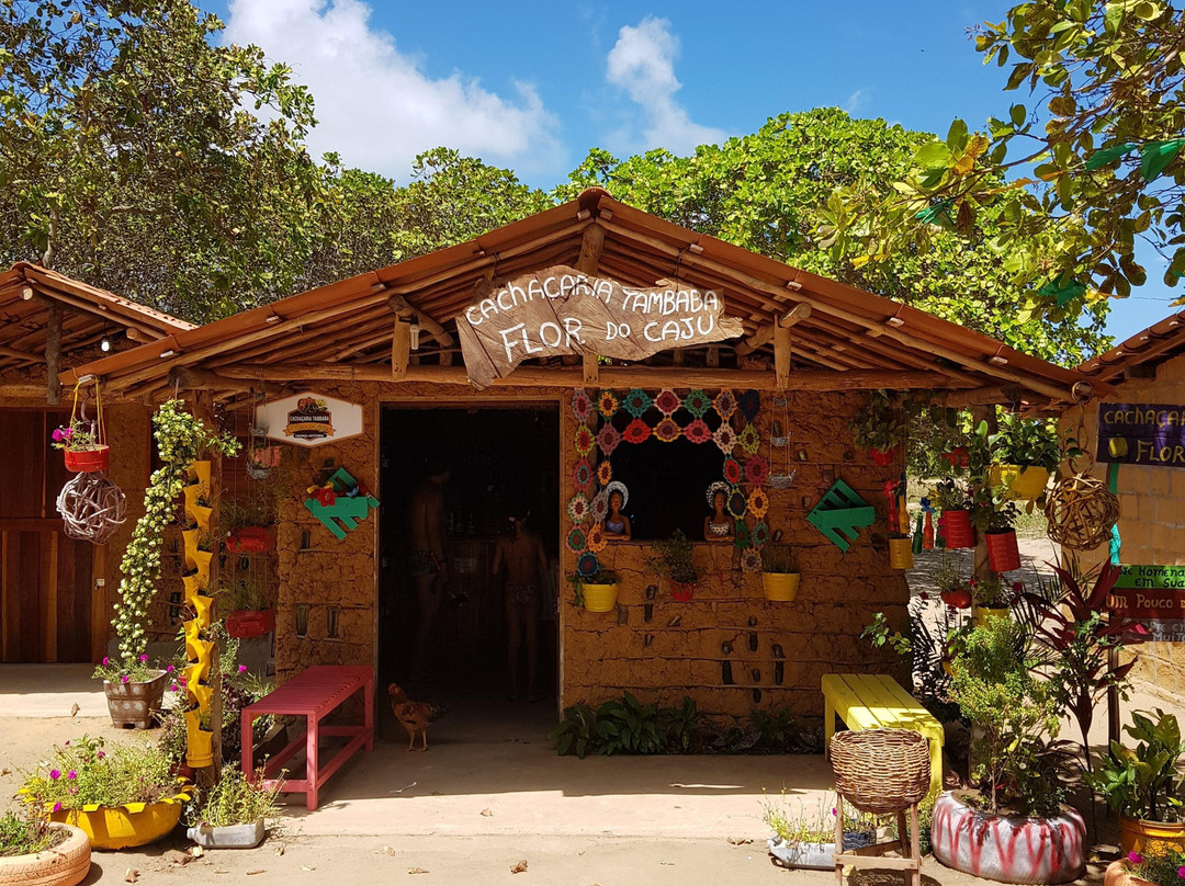 PNP Passeios na Paraíba-Joao Pessoa必去景点